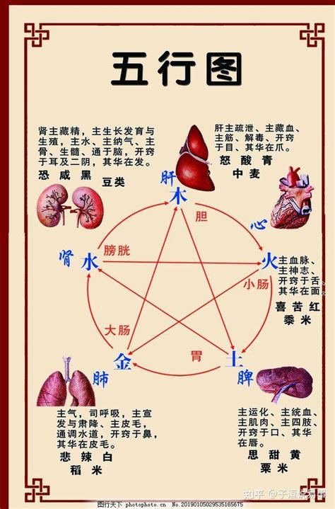 五行都不缺的人|五行齐全的利与弊(初学者必备)